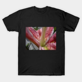 Beautiful photograph of lily flower T-Shirt